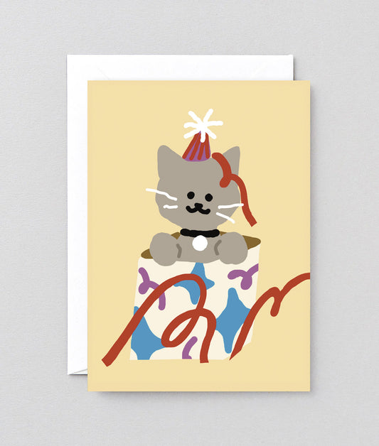 Cat In A Present