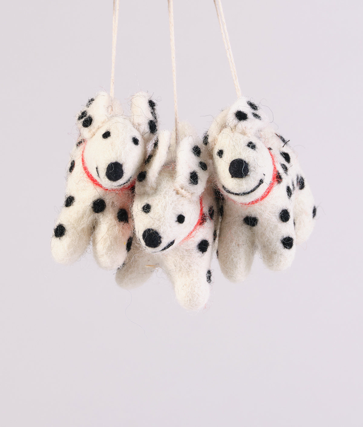 *PRE-ORDER* Eric, the spotty dog