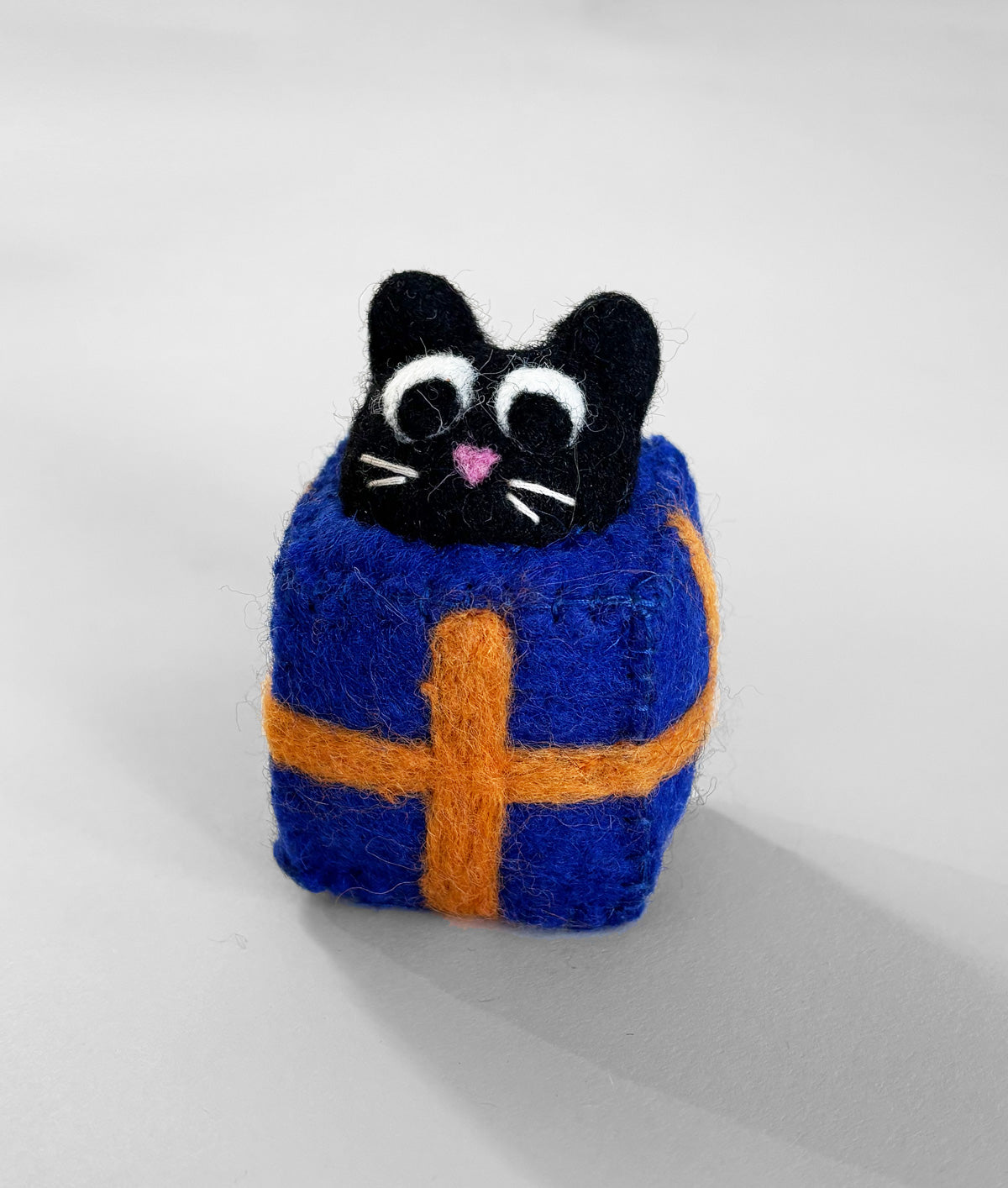 Roland, Cat in a Box