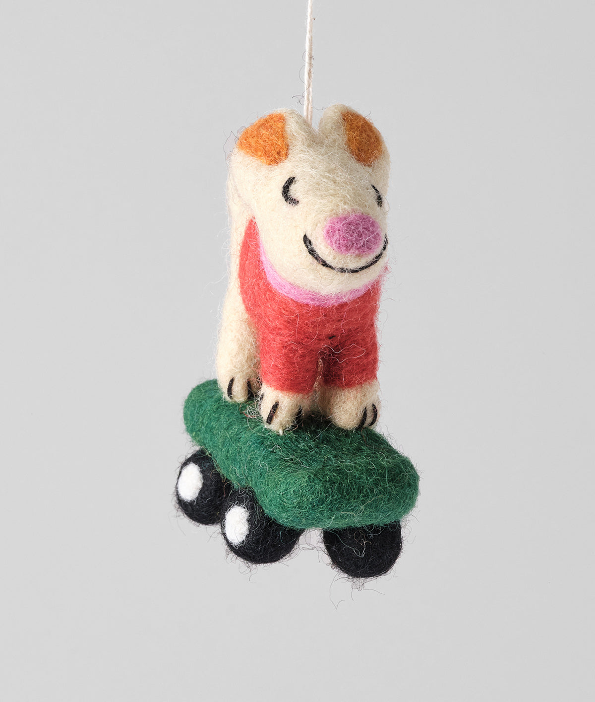 Bert, Skateboarding Dog