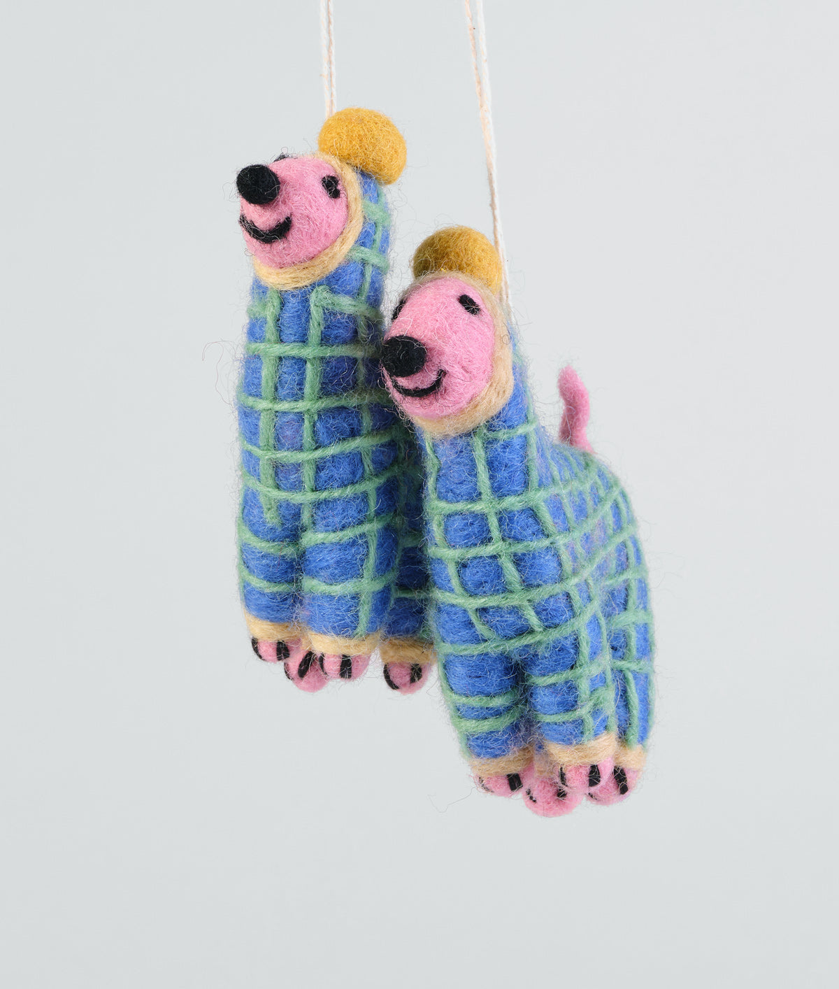 Jayla, Dog in onesie