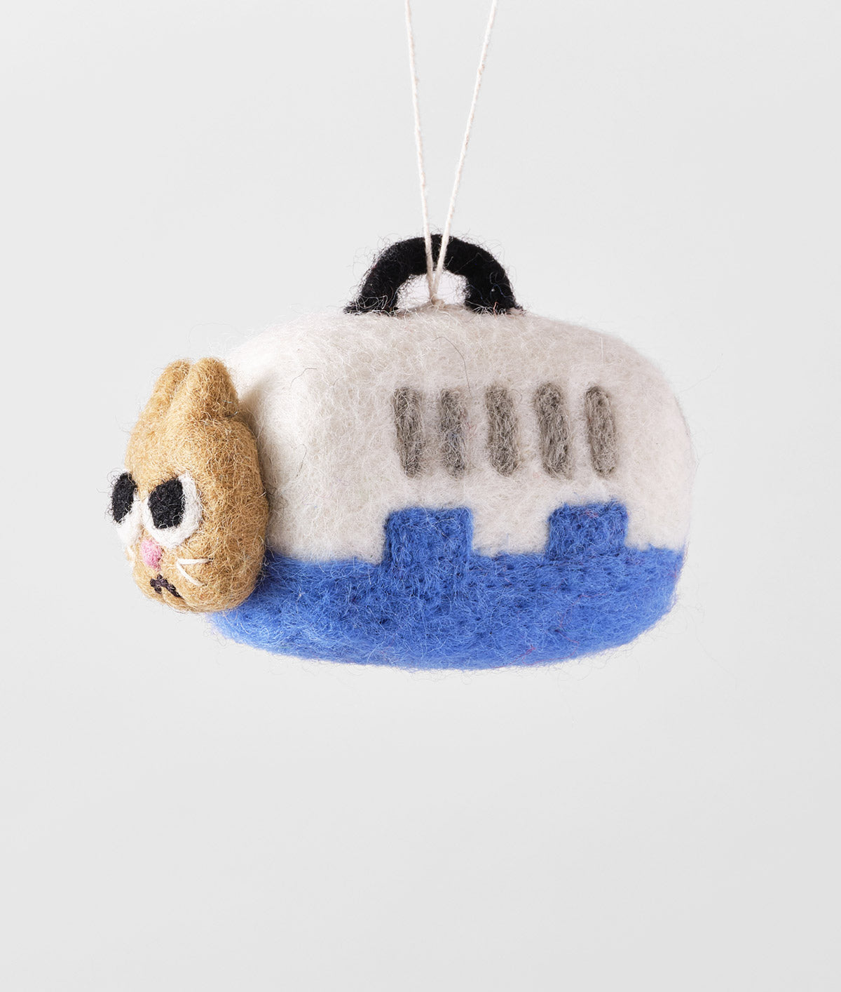 Coco, Cat in a Carrier