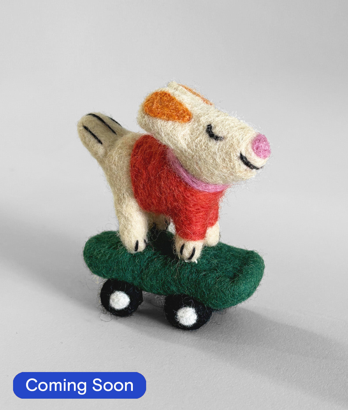 Bert, Skateboarding Dog