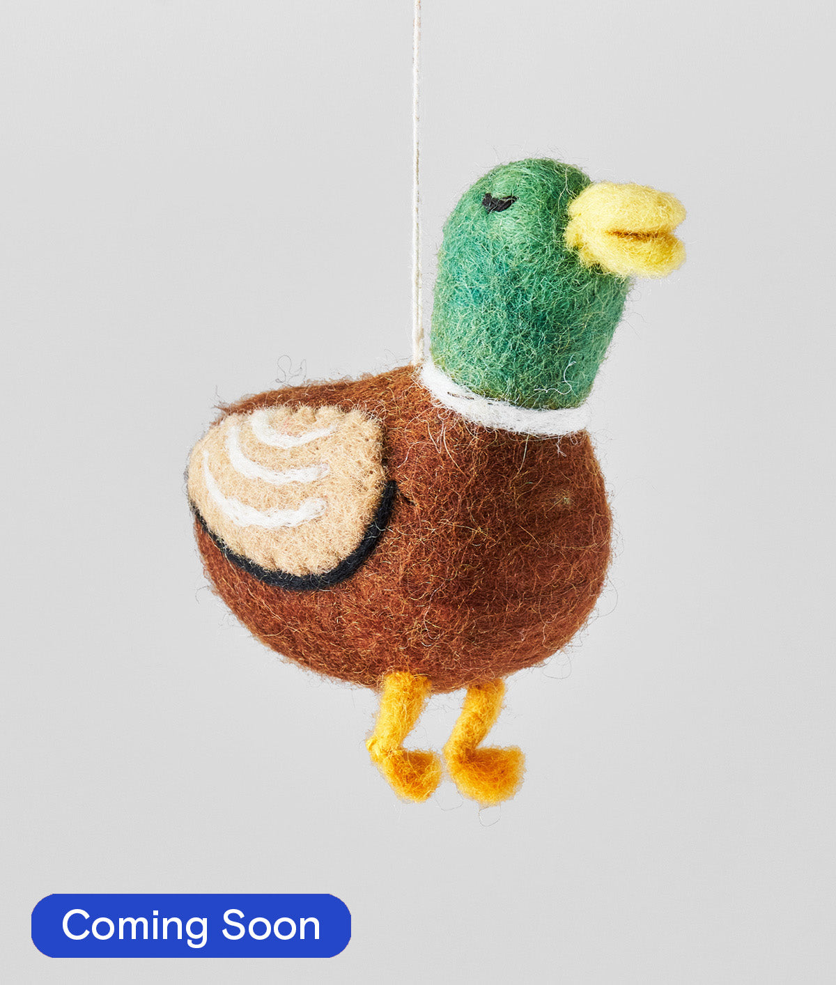 Duck