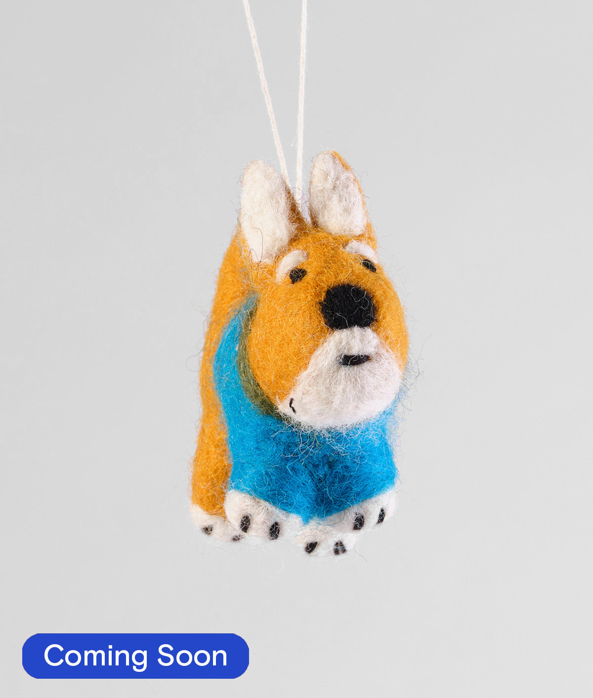 Shishi, Shiba Dog