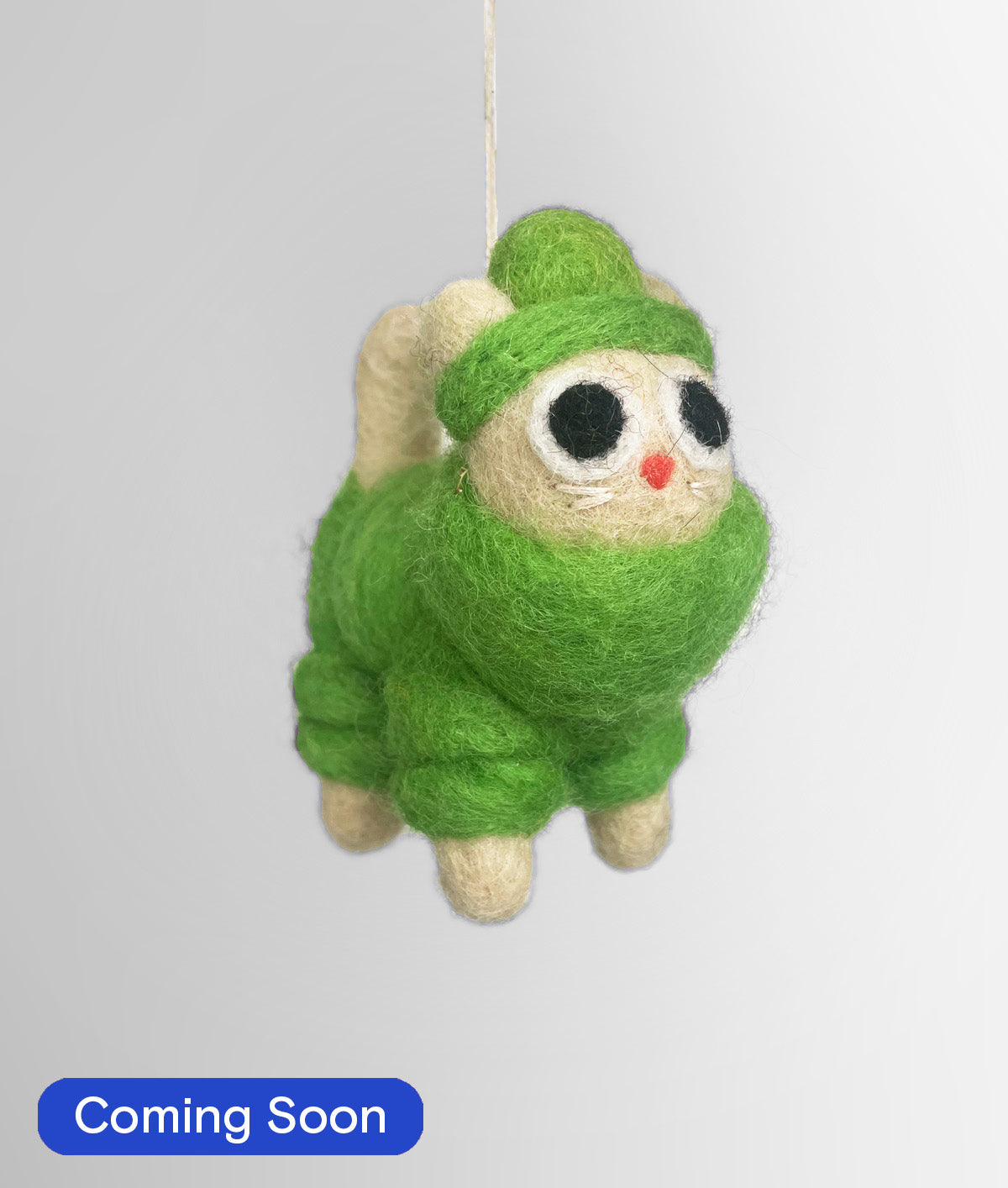 Lee, Cat in a Green Puffa