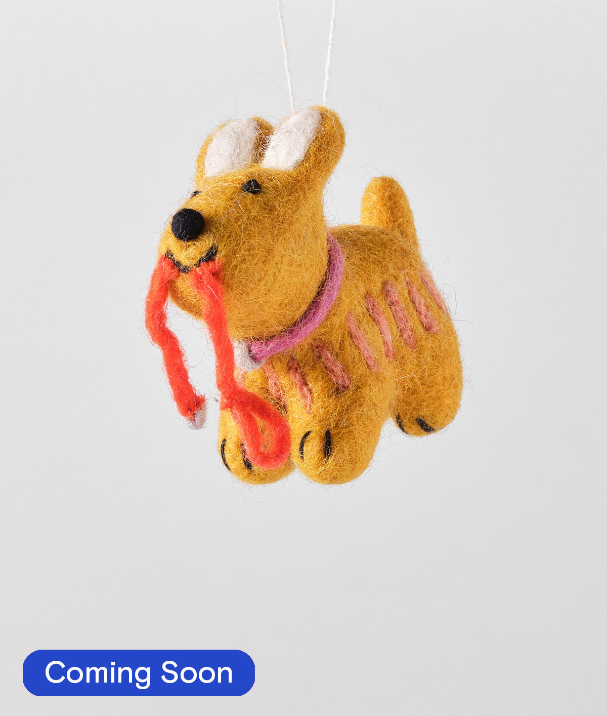 Ginger, Dog with a Lead