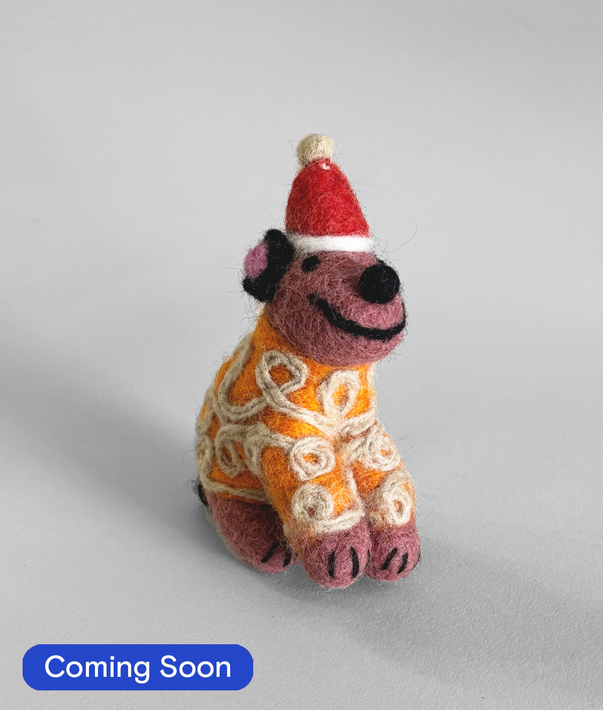 Pippin, Dog in Orange Jumper