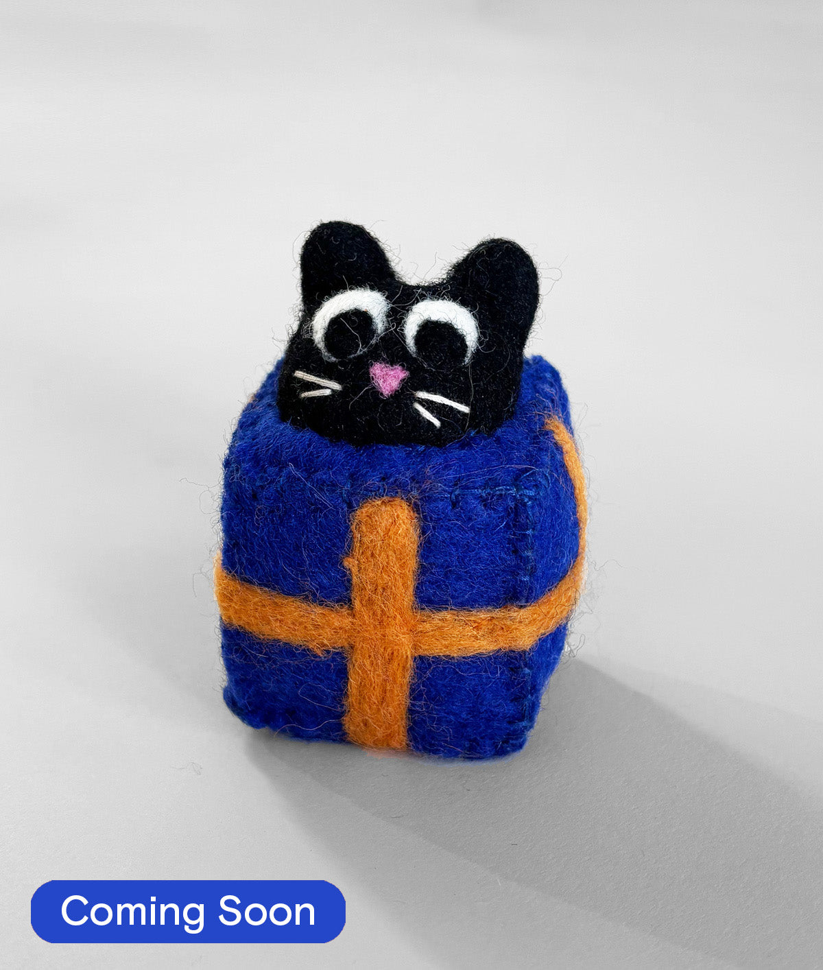 Roland, Cat in a Box