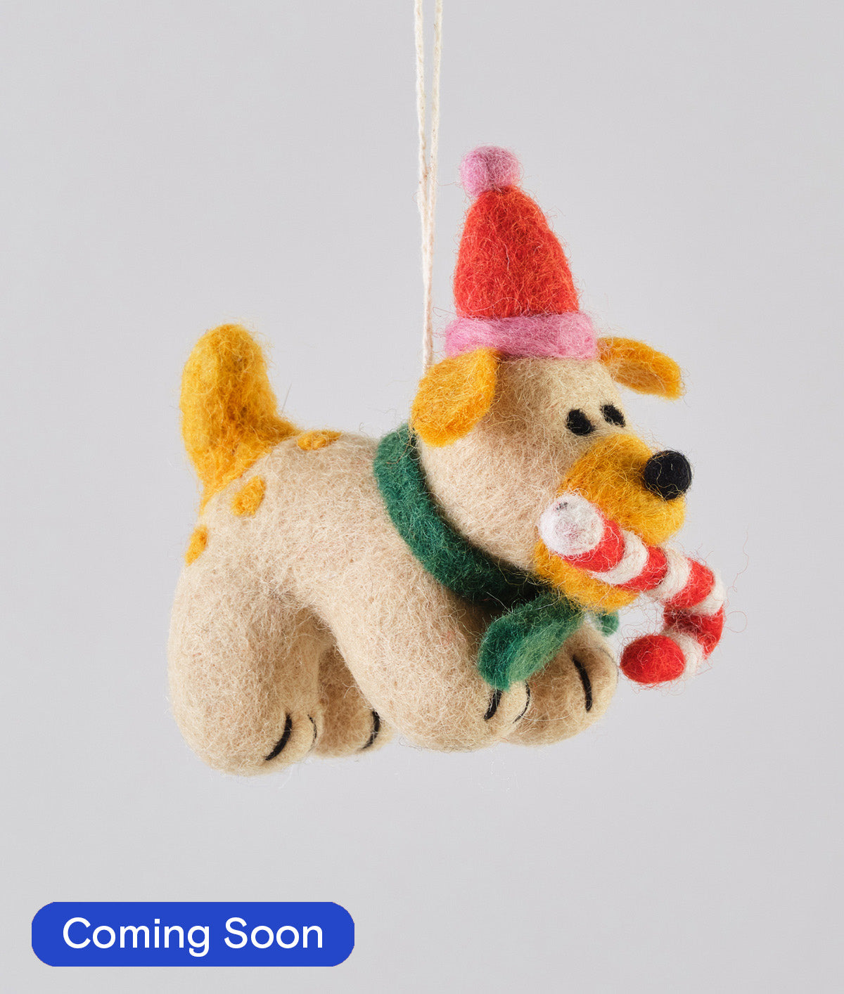 Martha, Dog with candy cane