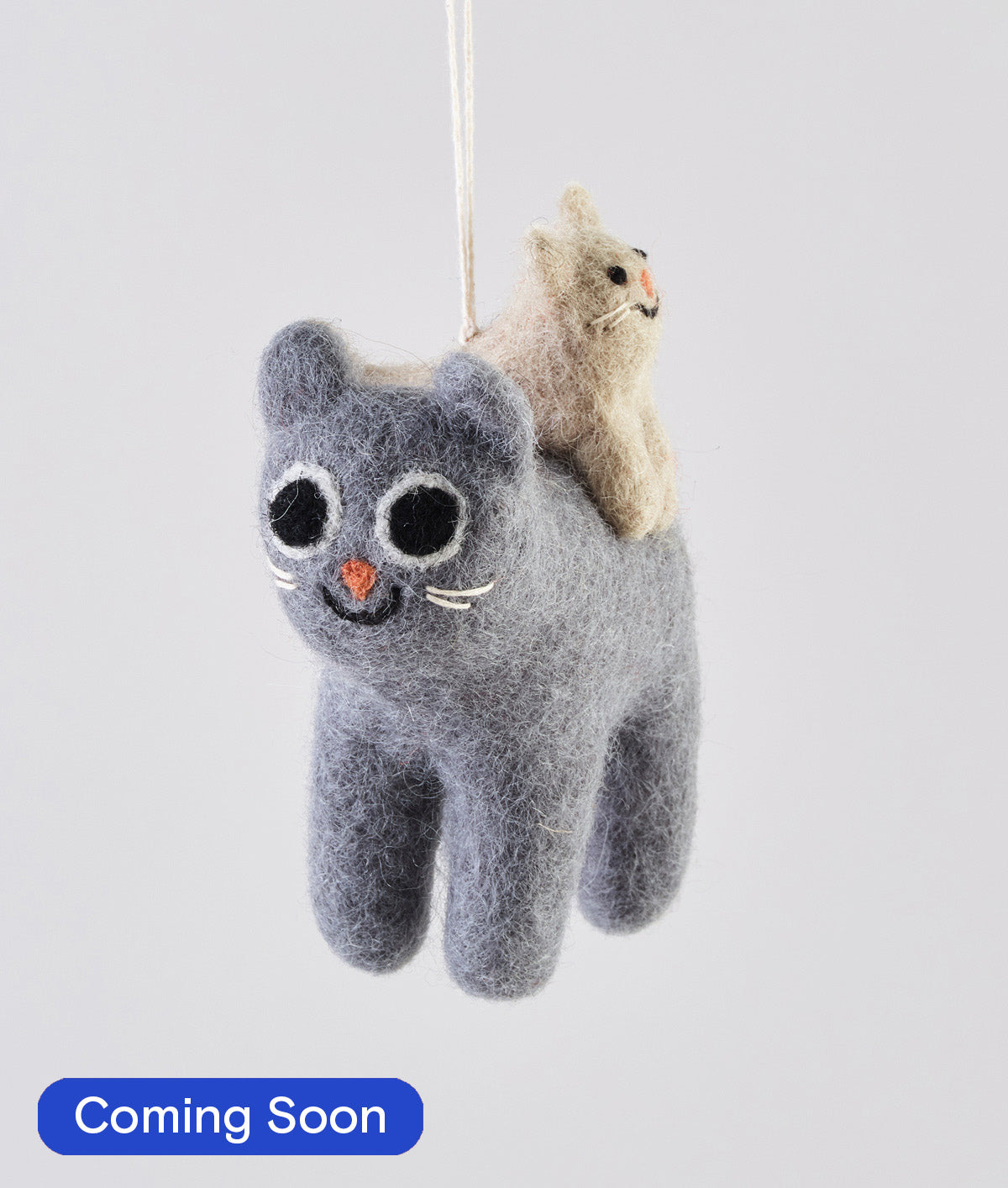 Pabs, cat with a cat on his back