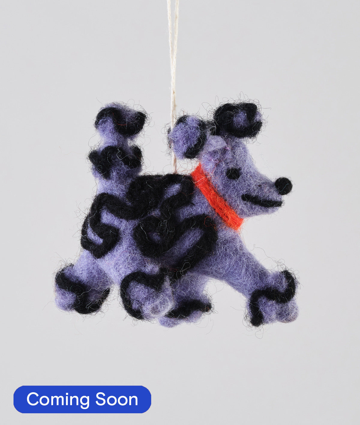 Fleur, the purple poodle