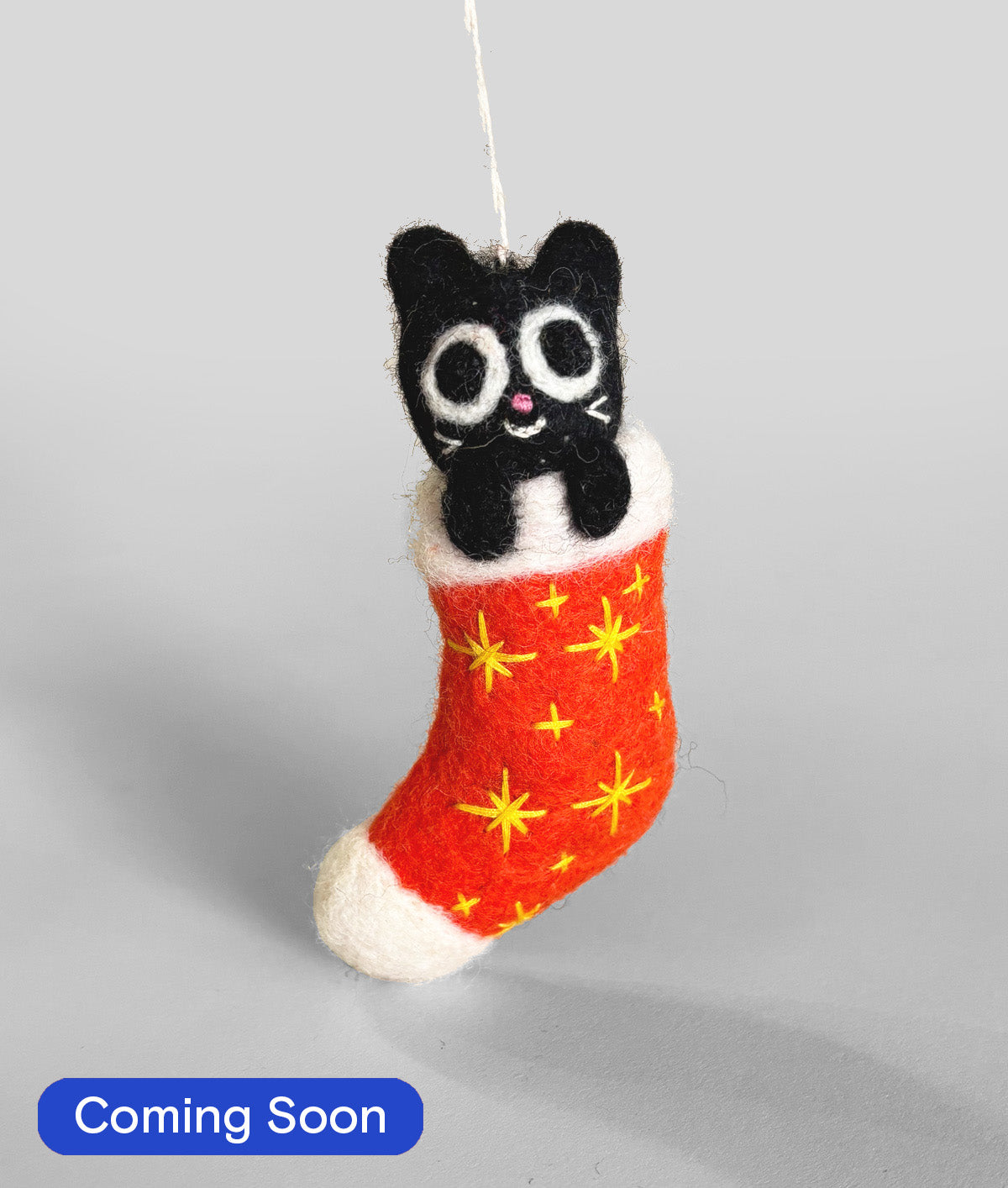 Viv, Cat in a Stocking