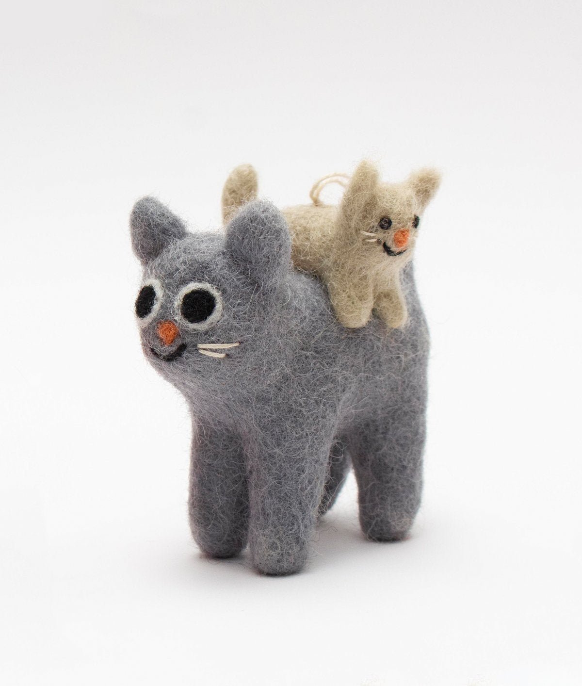 Pabs, cat with a cat on his back