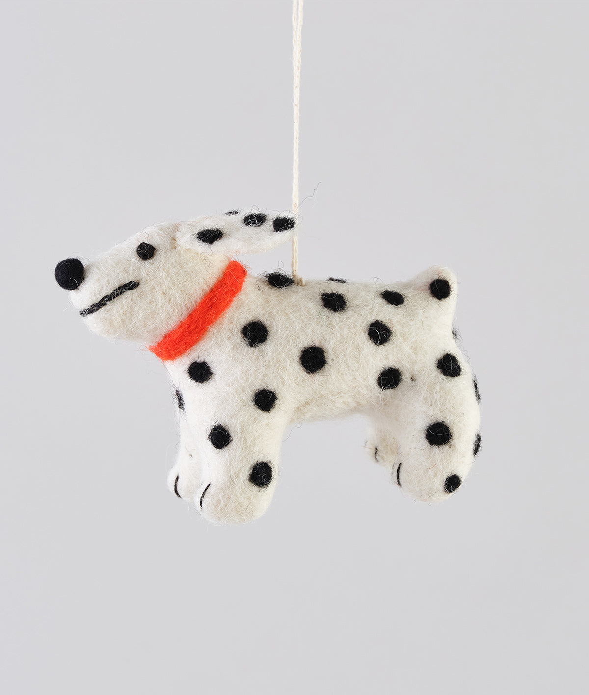 Eric, the spotty dog