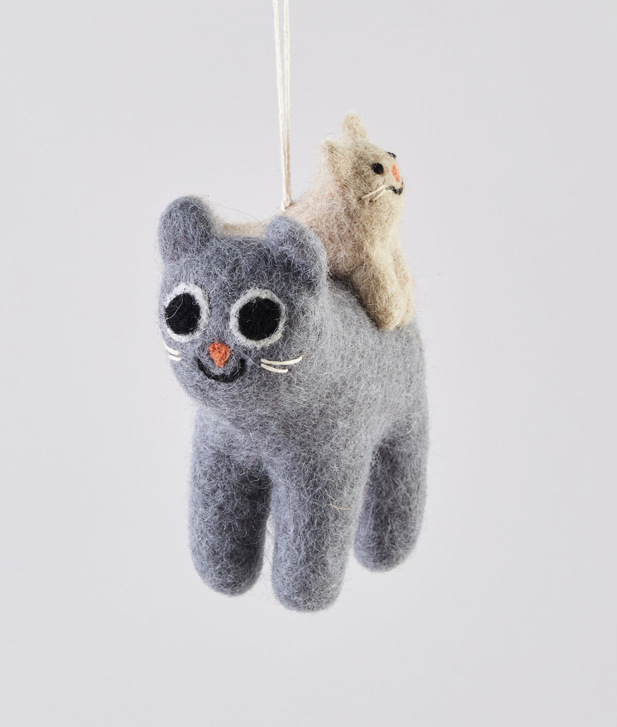 Pabs, cat with a cat on his back