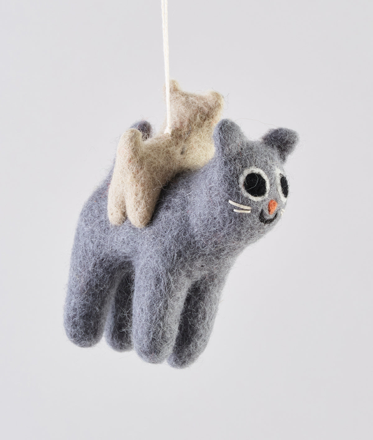 Pabs, cat with a cat on his back