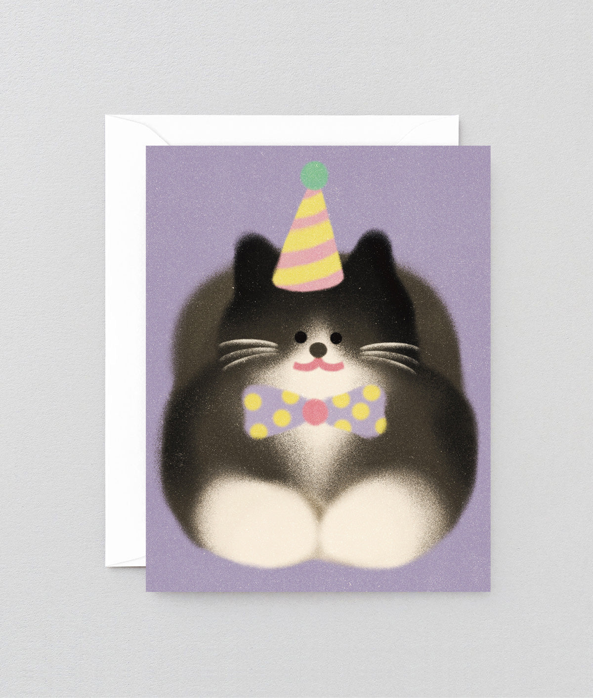 *COMING SOON* Tuxedo Cat