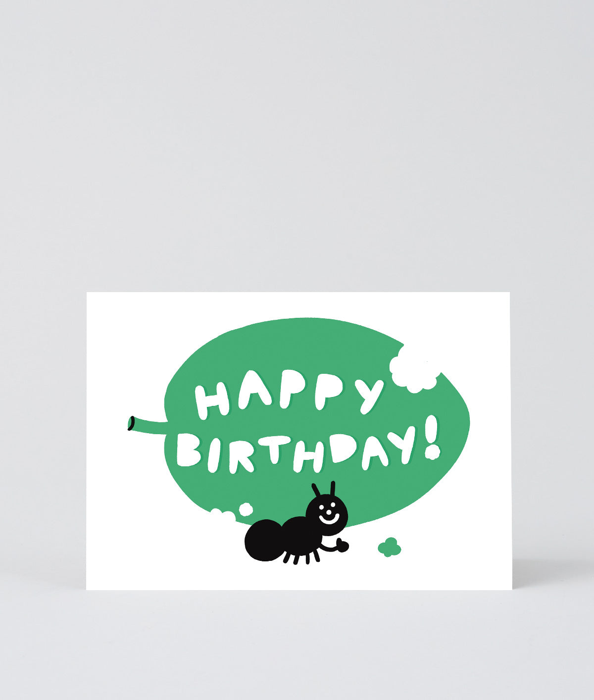 Happy Birthday Ant
