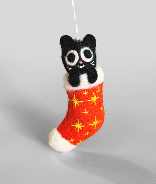 Viv, Cat in a Stocking