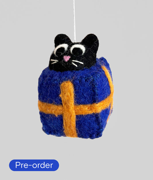 *PRE-ORDER* Roland, Cat in a Box