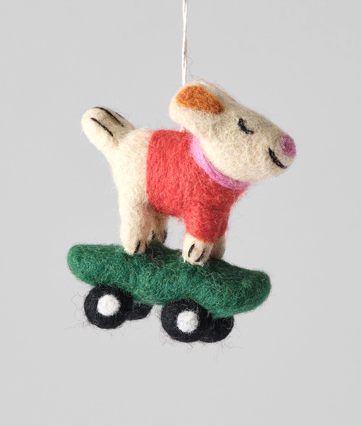 Bert, Skateboarding Dog