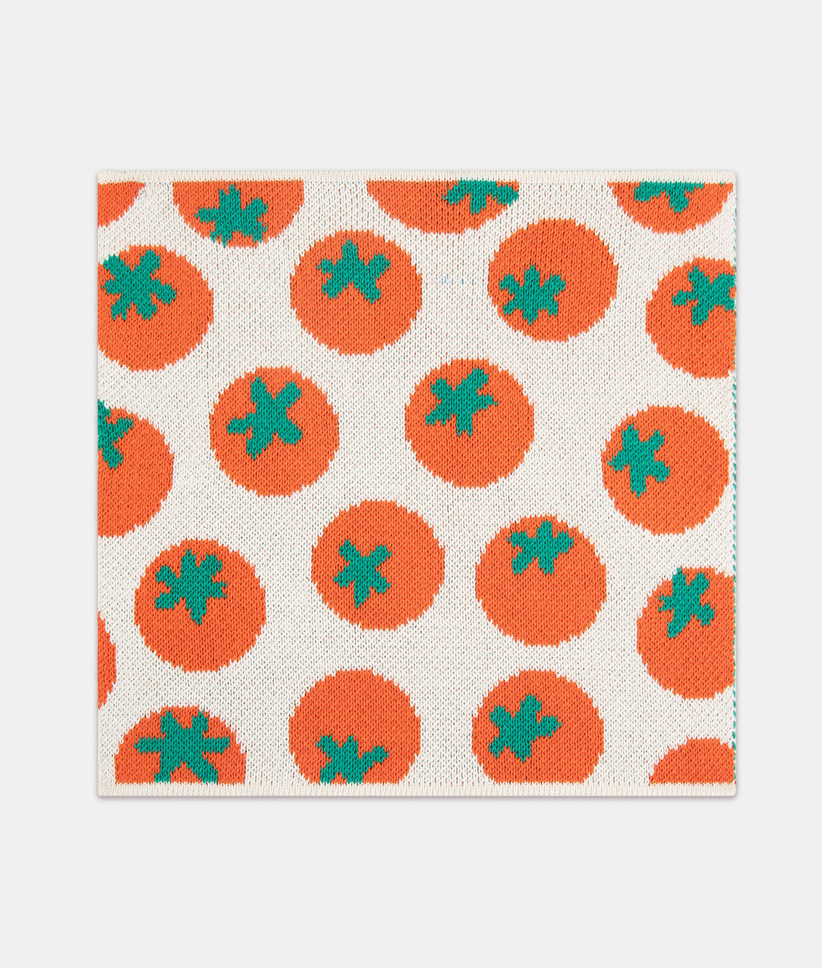 *COMING SOON* Mixed Fruits Dishcloth Set