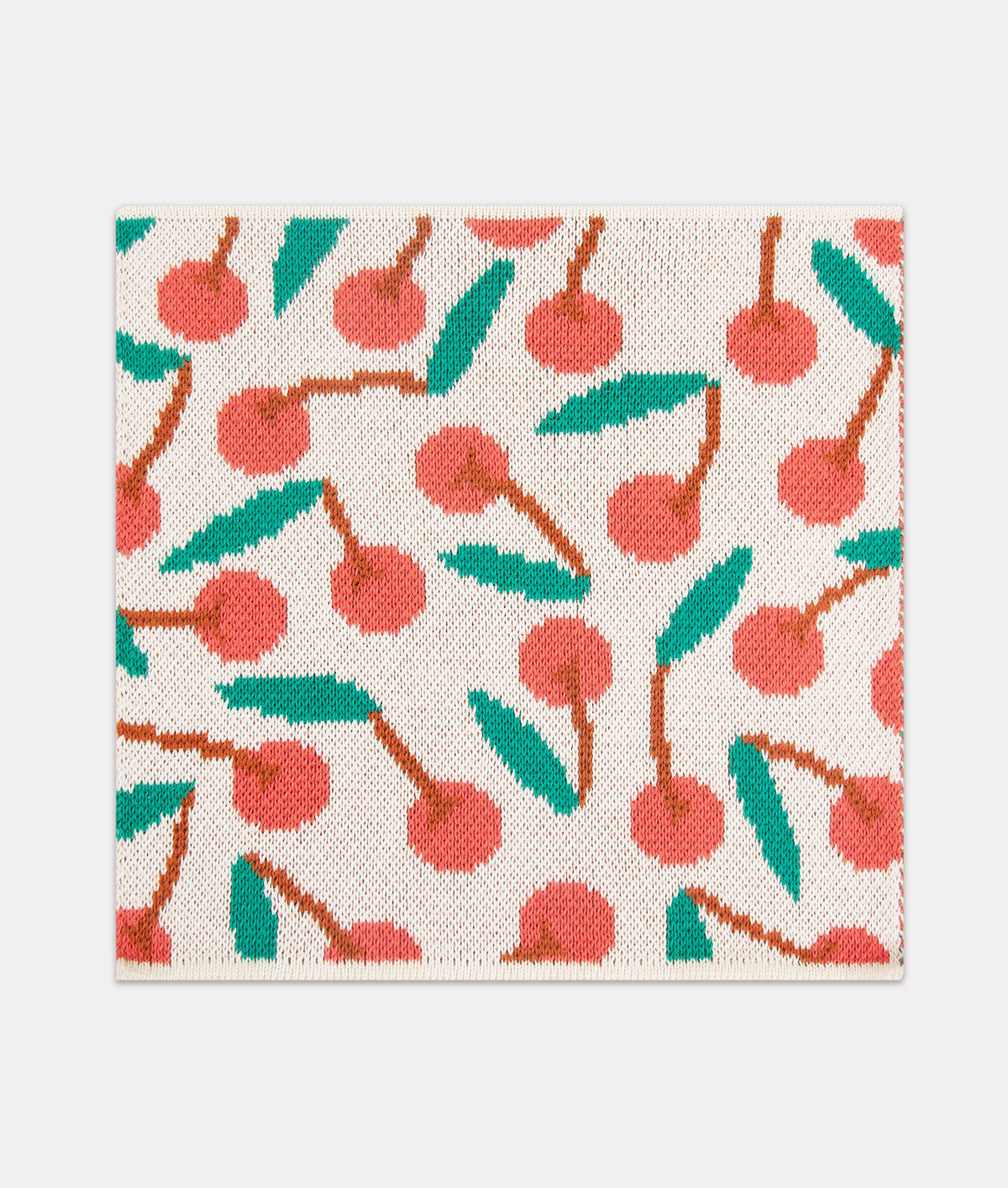 *COMING SOON* Mixed Fruits Dishcloth Set