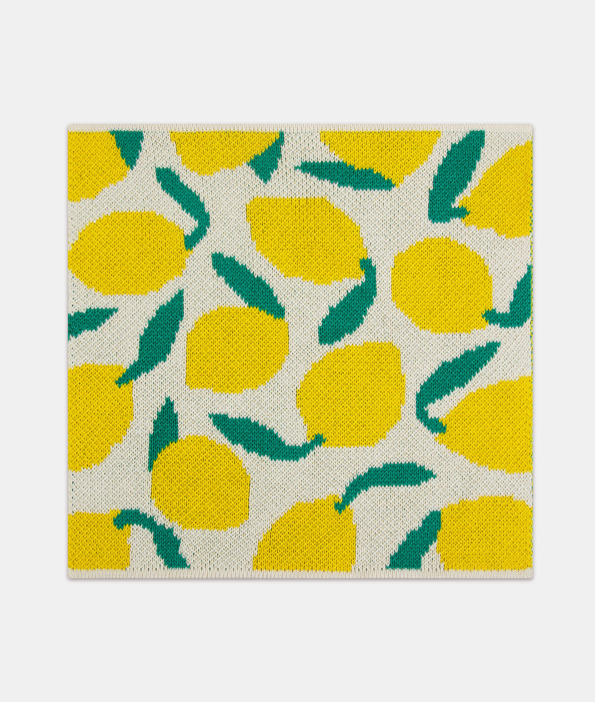 *COMING SOON* Mixed Fruits Dishcloth Set