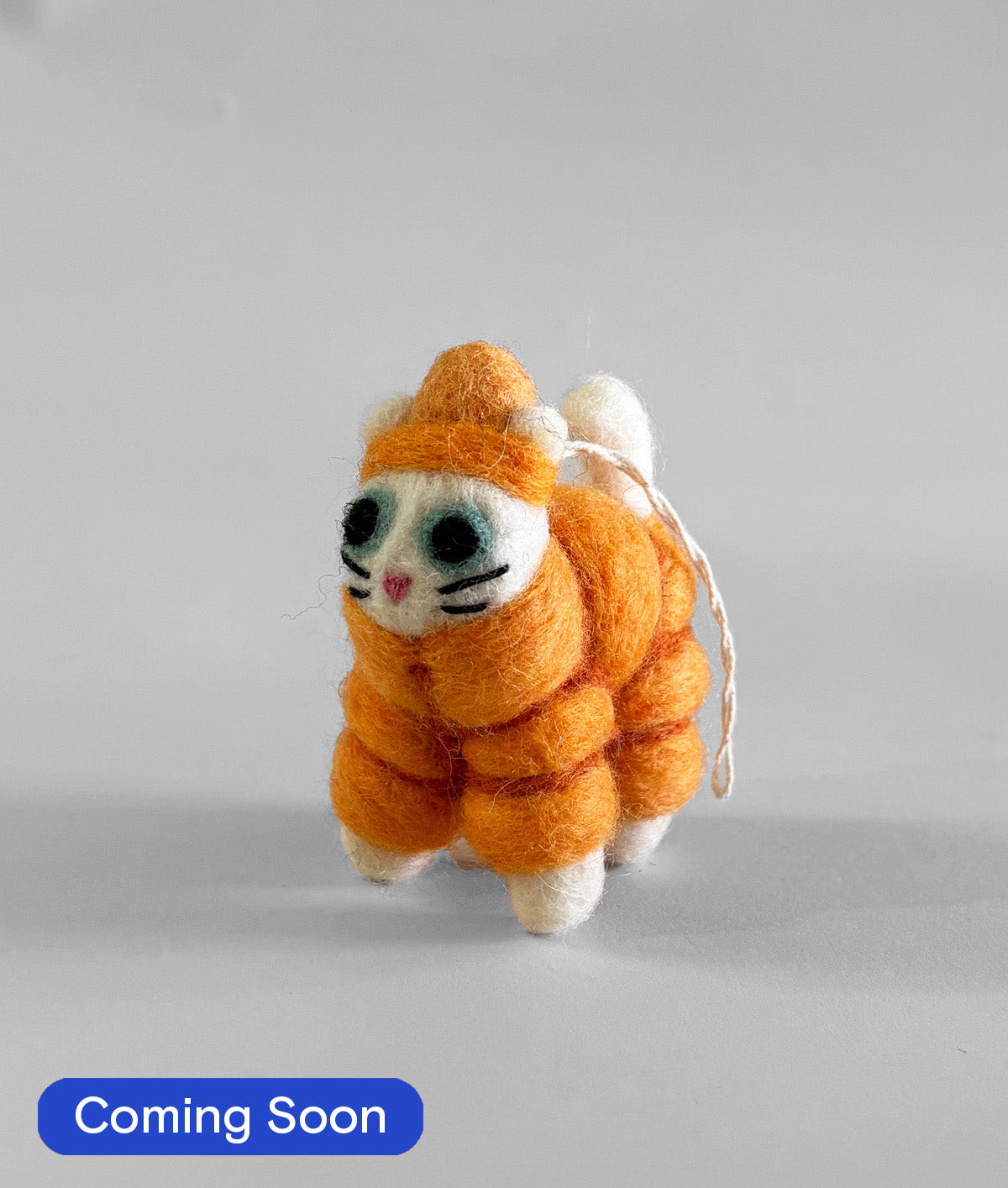 Lee, Cat in an Orange Puffa