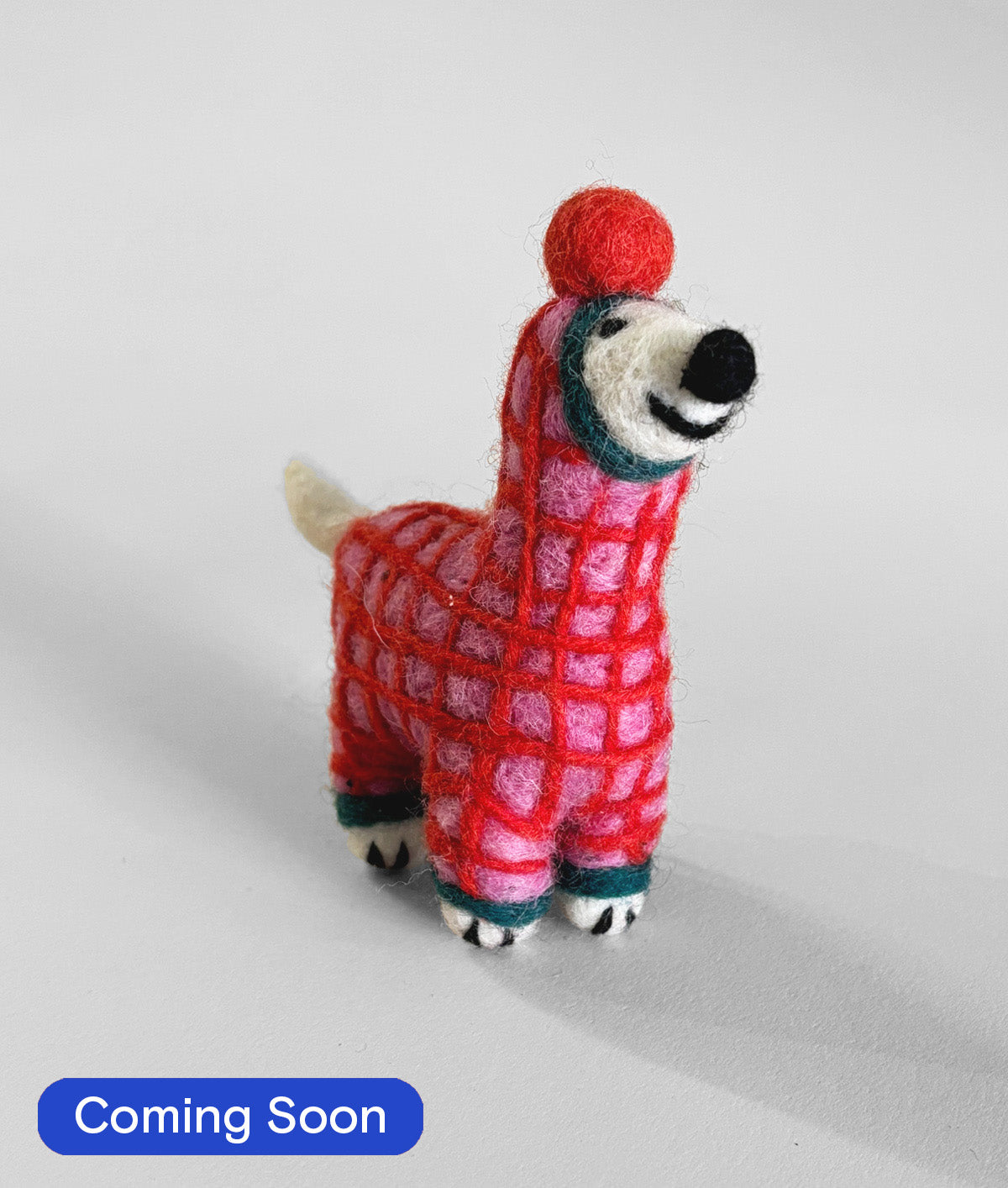 Jayla, Dog in a Red Onesie