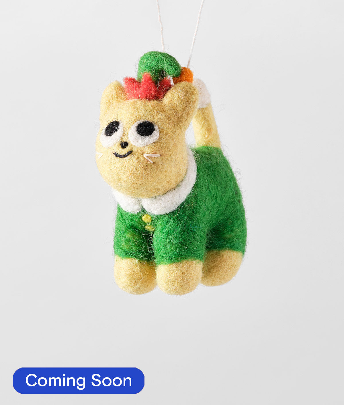 Buddy, Cat in Elf Outfit