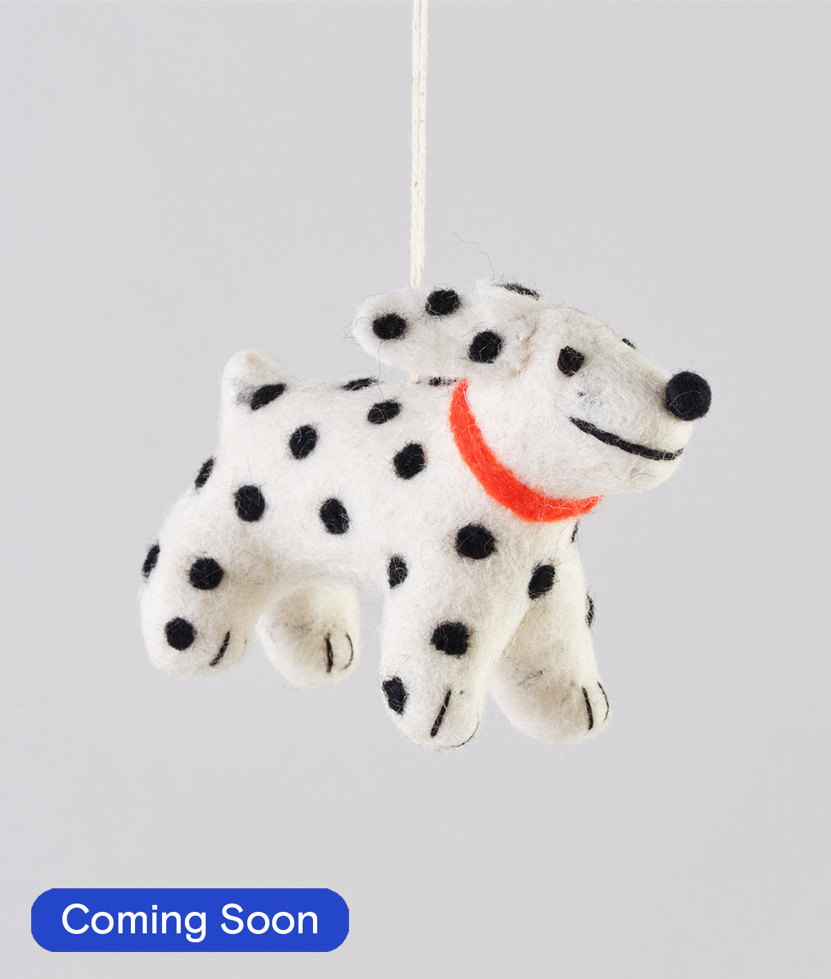 Eric, the spotty dog