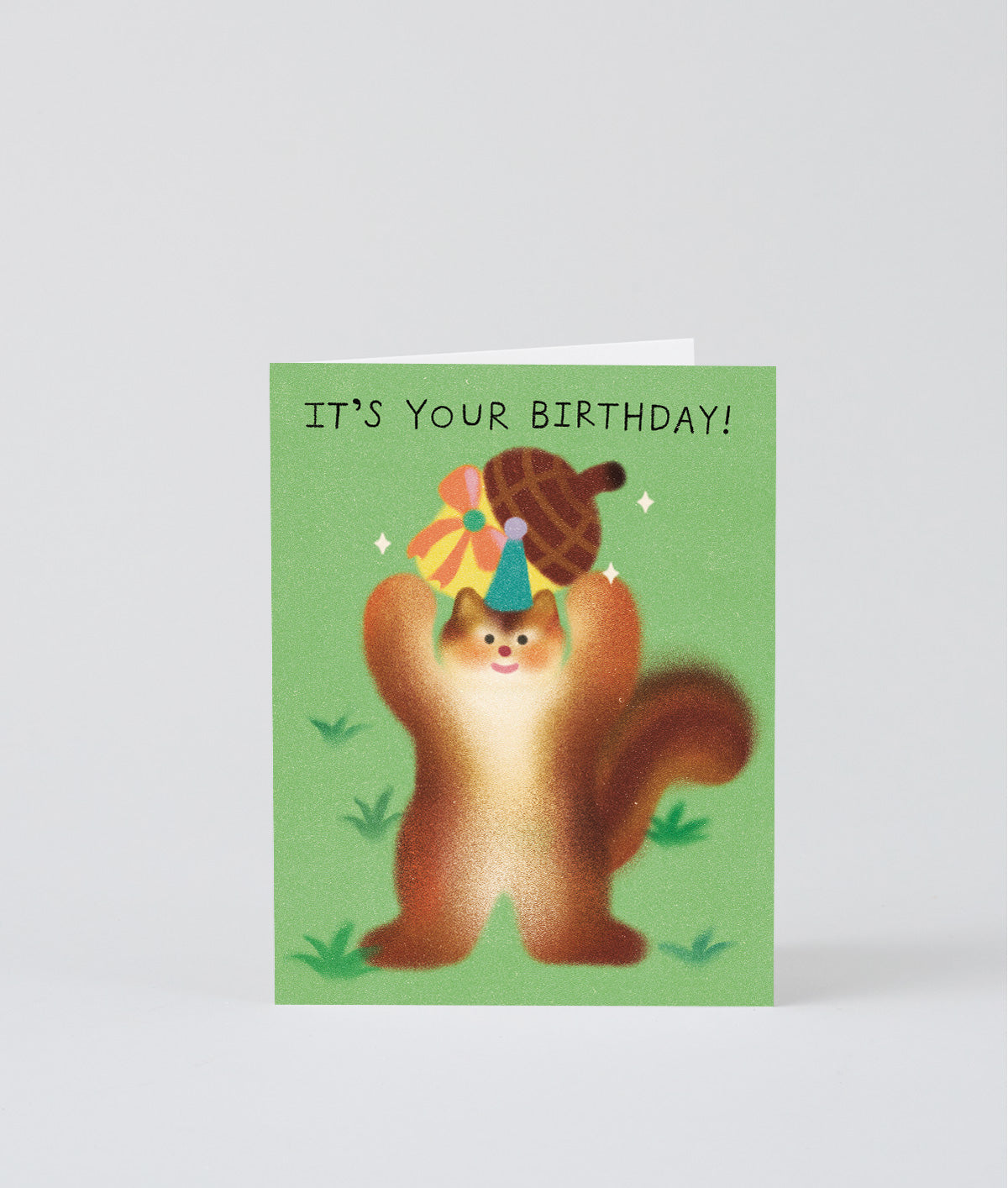 It's Your Birthday Squirrel Kids Greeting Card