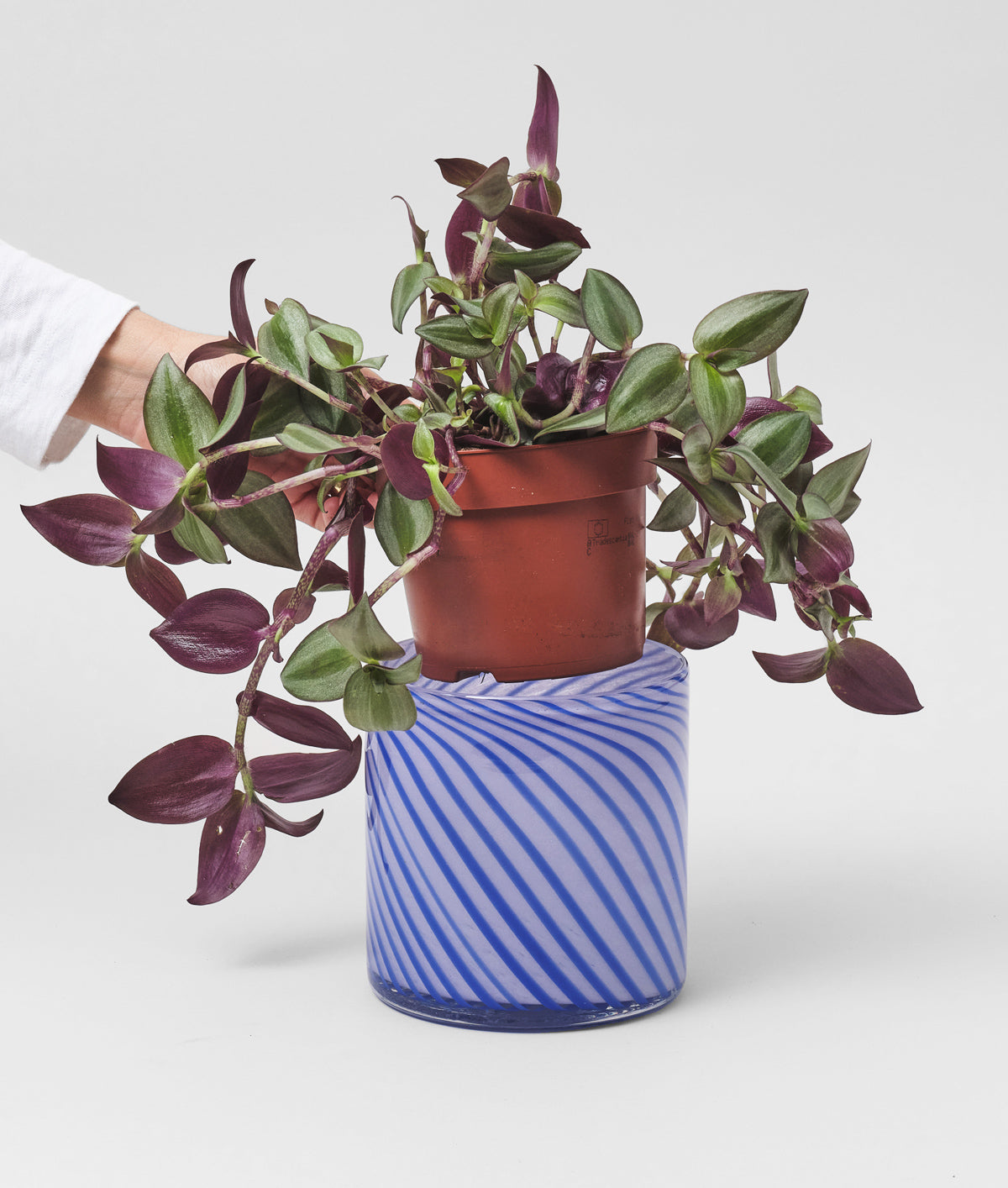 Medium Spiral Glass Planter Blue