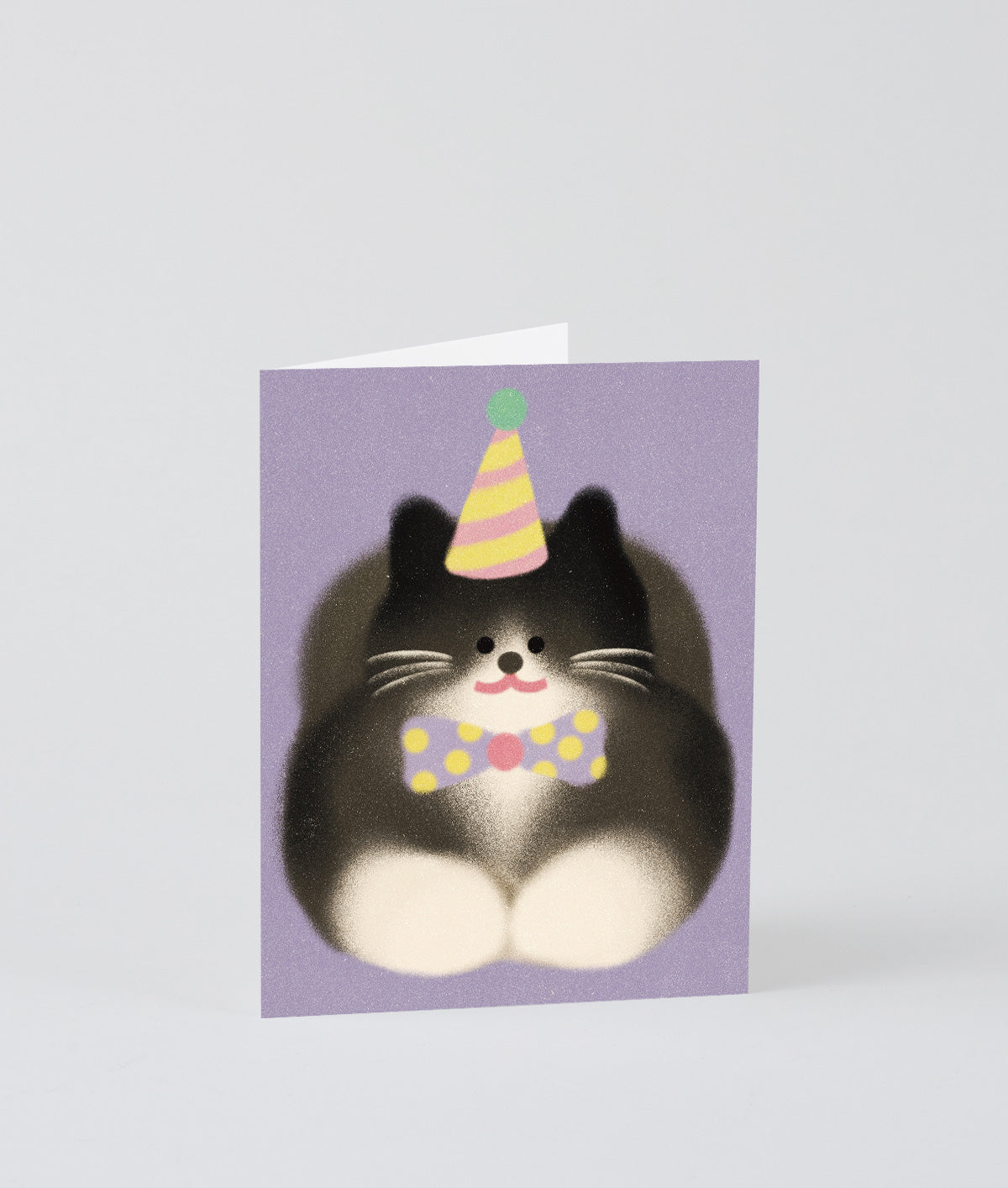 *COMING SOON* Tuxedo Cat