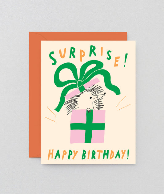 Surprise Happy Birthday Kids Greeting Card