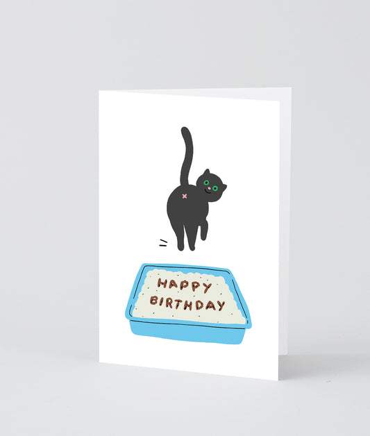 Birthday Cat Poop