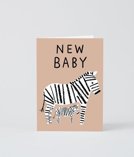 New Baby Zebras